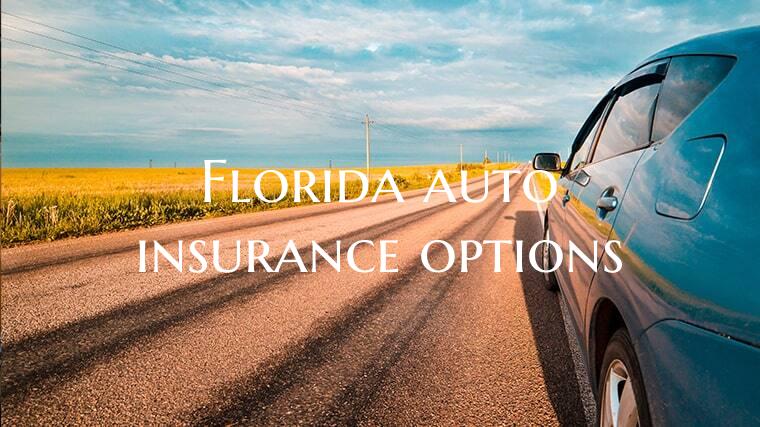 Florida auto insurance optio...