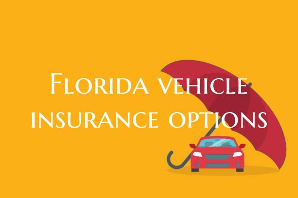 Florida vehicle insurance op...